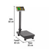 Báscula Electrónica De Plataforma Plegable, 100 Kg | Básculas, Pesas y Similares