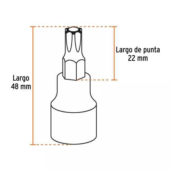Juego De 10 Dados Cuadro 3/8' Punta Torx, Estuche Metálico | Copas y Dados