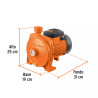 ‣ Bomba centrífuga agua 1 HP, EXPERT... | Truper Expert