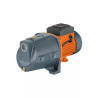 ‣ Bomba tipo jet, 1/2 HP, hierro, TRUPER... | Truper