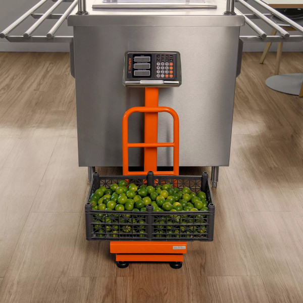 Báscula de Plataforma Plegable 100 Kg, Truper | Básculas, Pesas y Similares