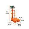 Báscula de Plataforma Plegable 100 Kg, Truper | Básculas, Pesas y Similares